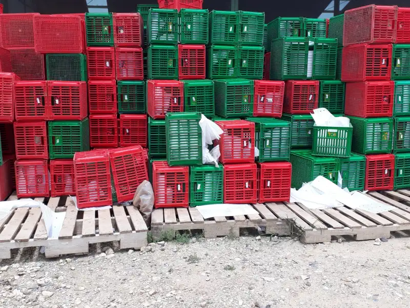 儋州南丰捷涯百货店：预包装食品与饮料零售的本地化供应实践