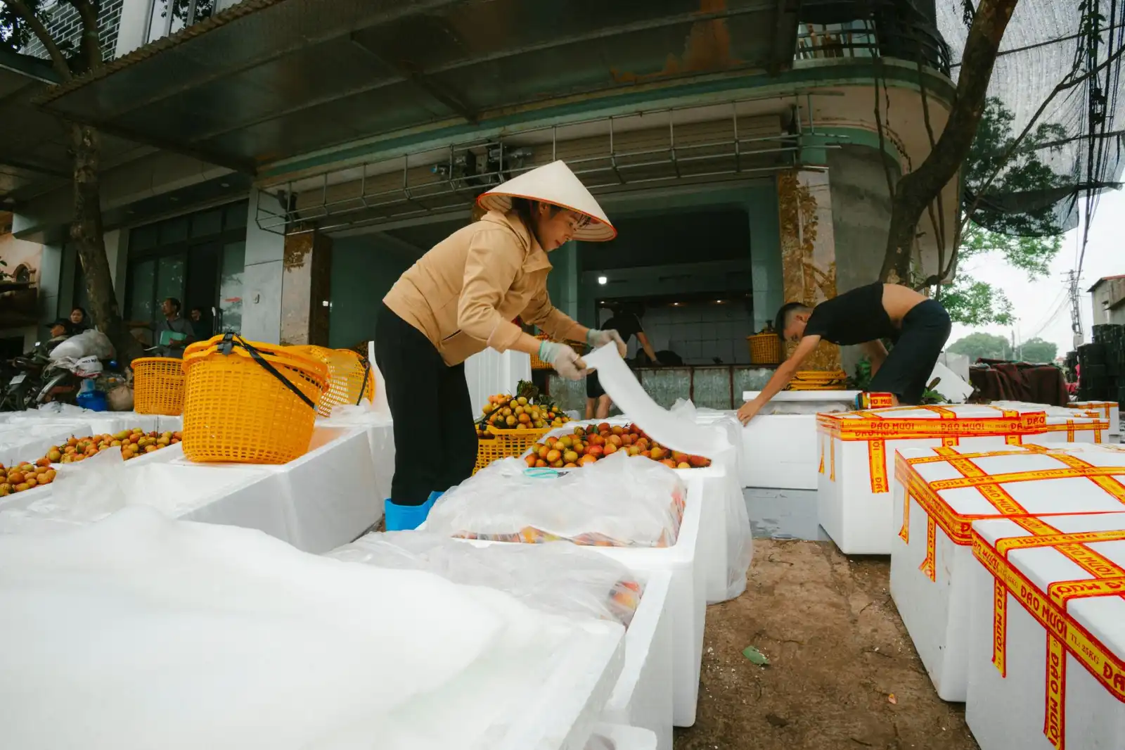 儋州零售预包装食品品类对比与选购分析