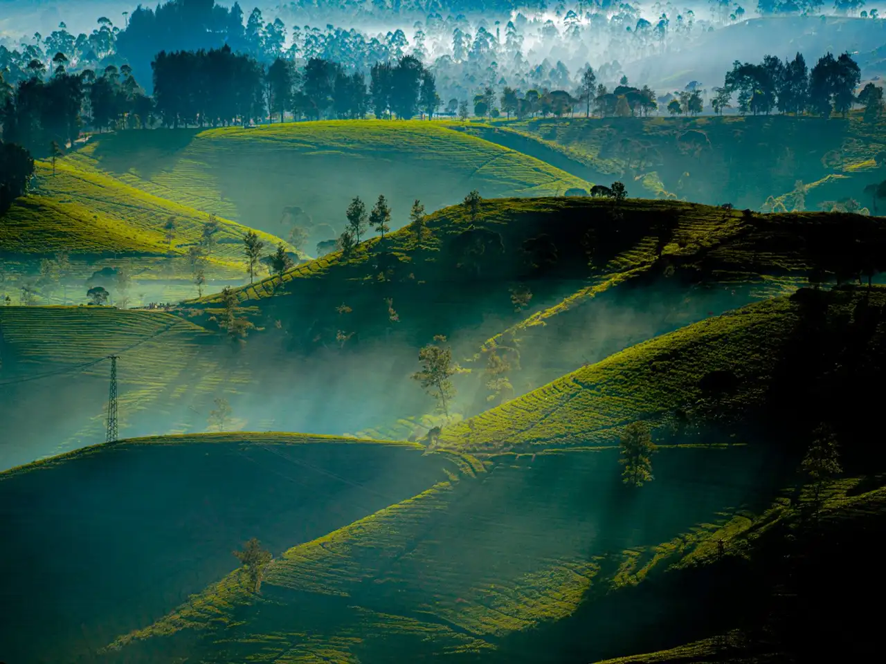儋州零售市场预包装食品质量管控要点与合规经营指南