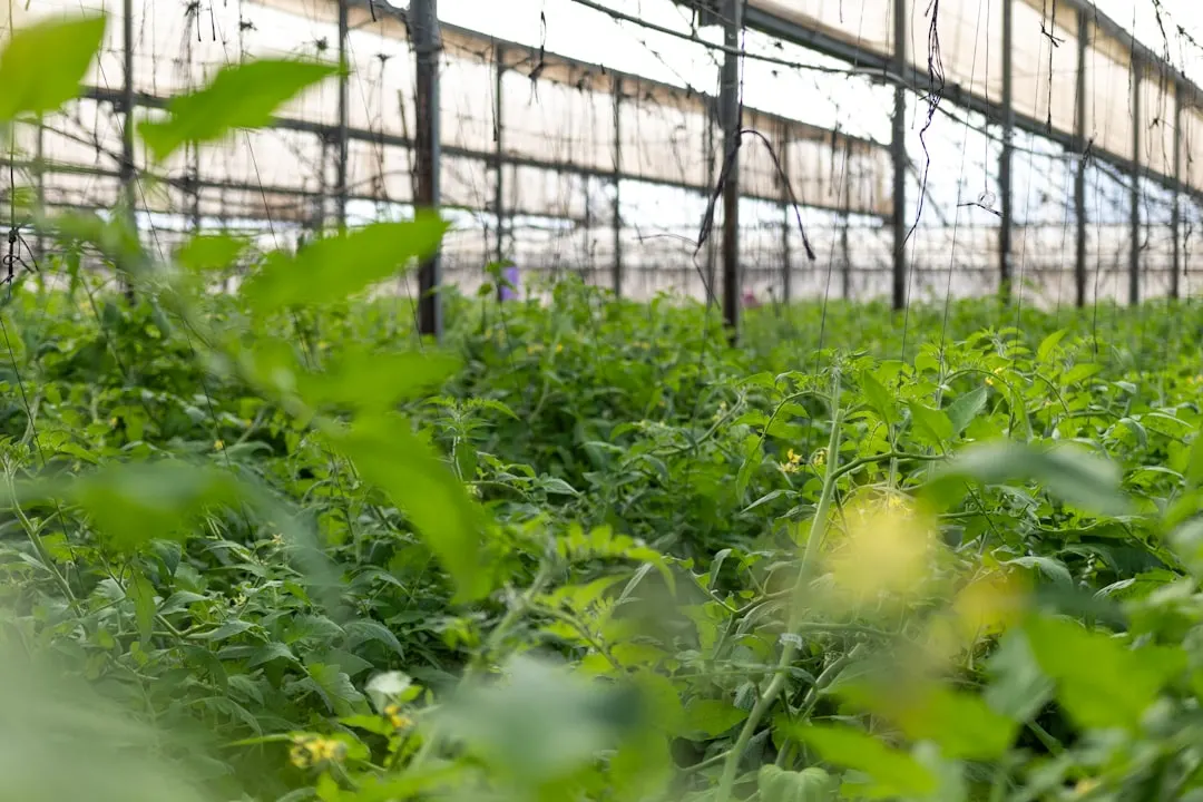 儋州南丰捷涯百货预包装食品系列产品参数与规格解析